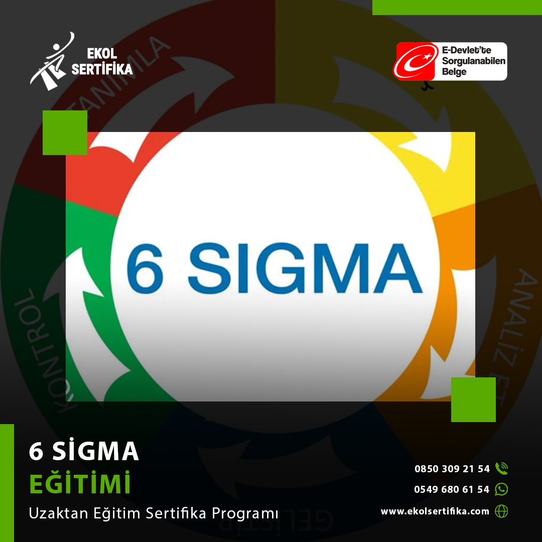 6 Sigma Eğitimi Uzaktan Eğitim Sertifika Programı